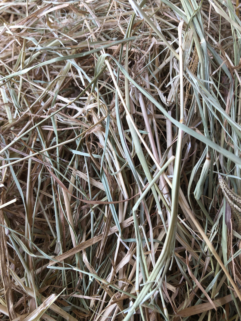 B Grade Pasture