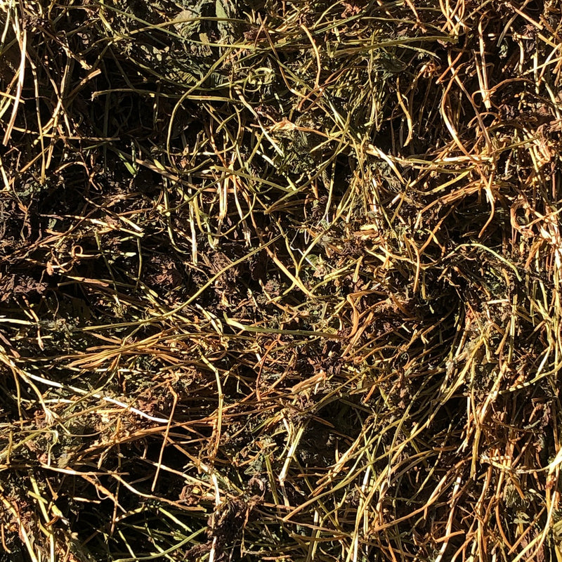 Sub Clover Hay