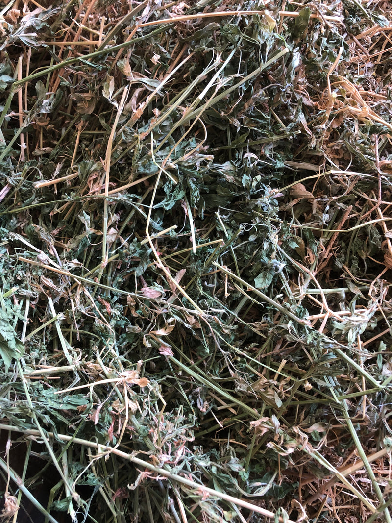 Lucerne Round Bale