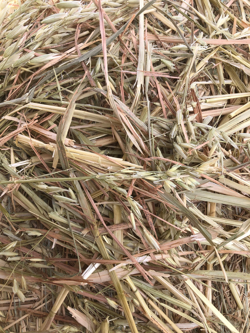 Oaten Round Bale 4.5 x4