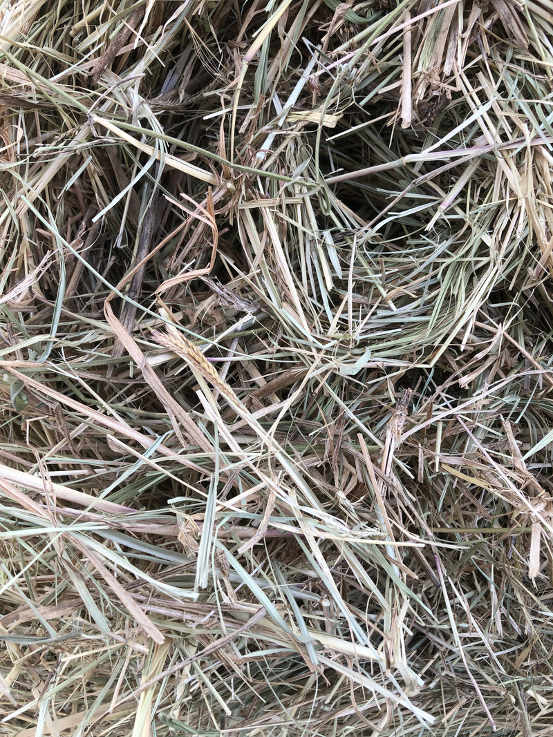 Rhodes round bale